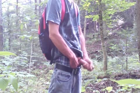 Forest And Nature Are My much loved Places. two