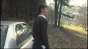 Hitchhiking Twinks Get Lucky