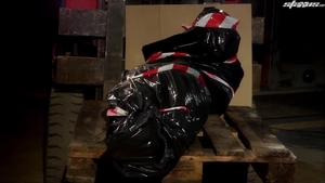 Plastic Bag of Surprises: Young Daniel's Fates